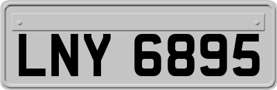 LNY6895