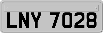 LNY7028
