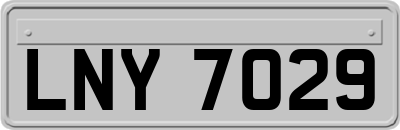 LNY7029
