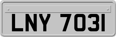 LNY7031