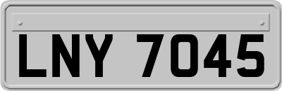 LNY7045