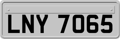 LNY7065