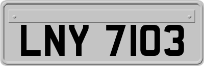 LNY7103