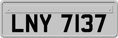 LNY7137