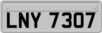 LNY7307