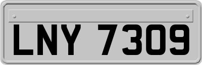 LNY7309