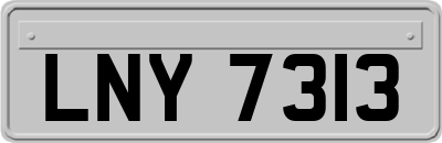 LNY7313
