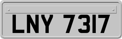 LNY7317