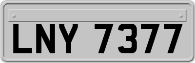 LNY7377