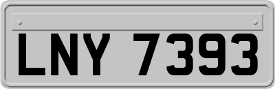 LNY7393