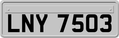 LNY7503
