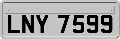 LNY7599