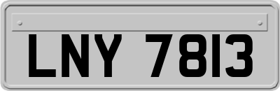 LNY7813