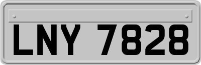 LNY7828
