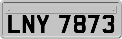 LNY7873
