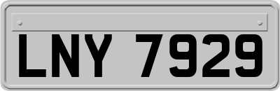 LNY7929