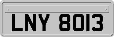 LNY8013