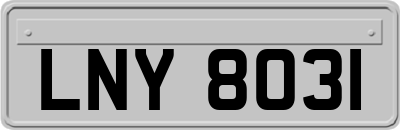 LNY8031