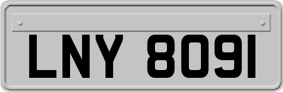 LNY8091