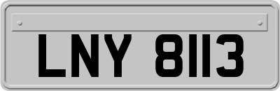 LNY8113