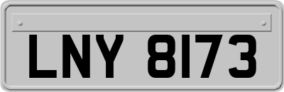 LNY8173