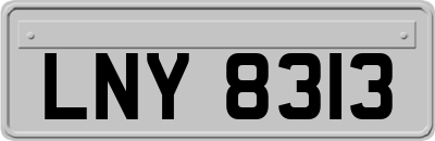 LNY8313