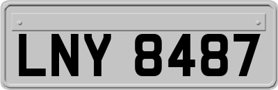 LNY8487
