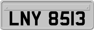 LNY8513