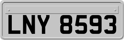 LNY8593