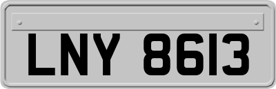 LNY8613