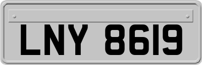 LNY8619