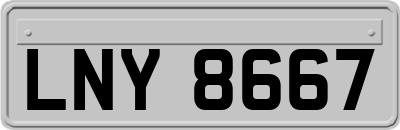 LNY8667