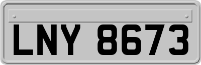 LNY8673