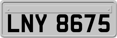 LNY8675