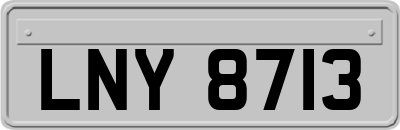 LNY8713