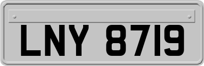 LNY8719