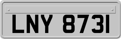 LNY8731