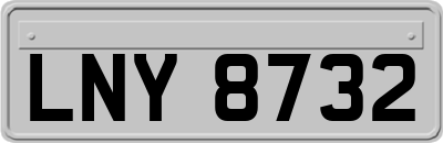 LNY8732