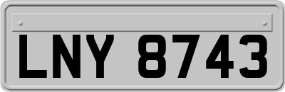 LNY8743
