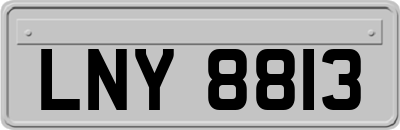 LNY8813