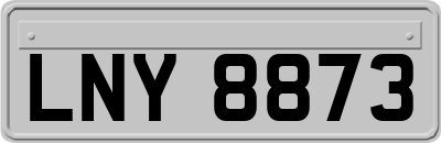 LNY8873