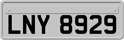 LNY8929