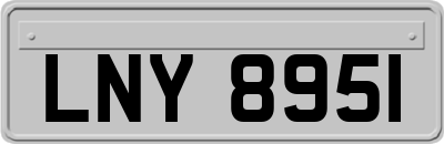 LNY8951