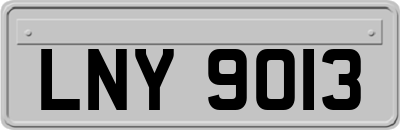 LNY9013