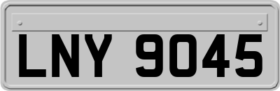 LNY9045