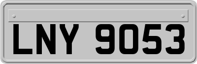 LNY9053