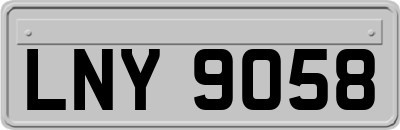 LNY9058