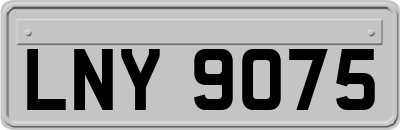 LNY9075
