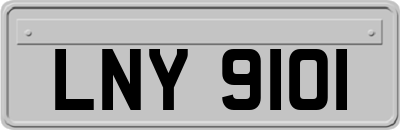 LNY9101