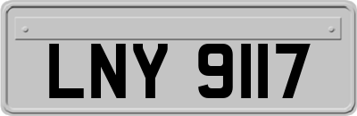 LNY9117